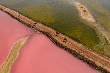 Pink Lake