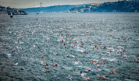 swimming race