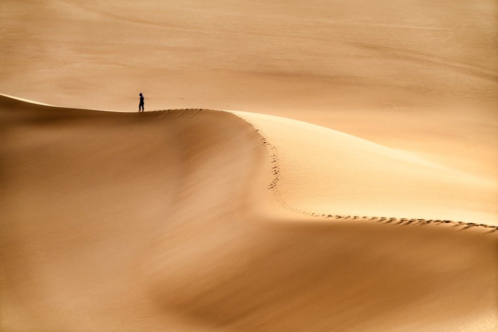Man and the desert à Hamid Jamshidian