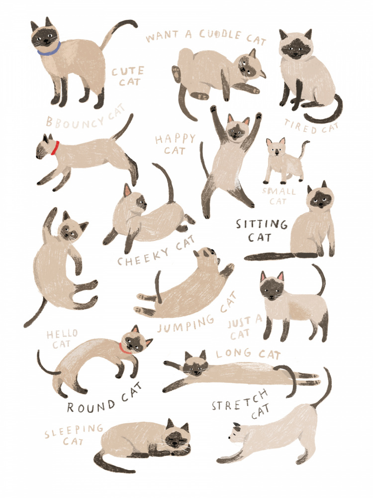 Siamese Cat Print à Hanna Melin