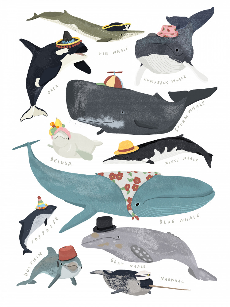 Whales In Hats à Hanna Melin