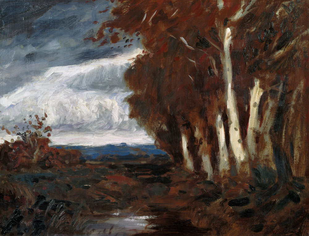 l'automne dans le marécage à Hans am Ende