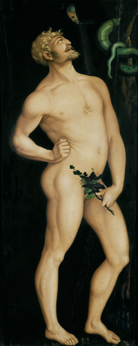 Adam. à Hans Baldung Grien