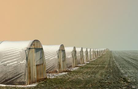 Greenhouses in winter