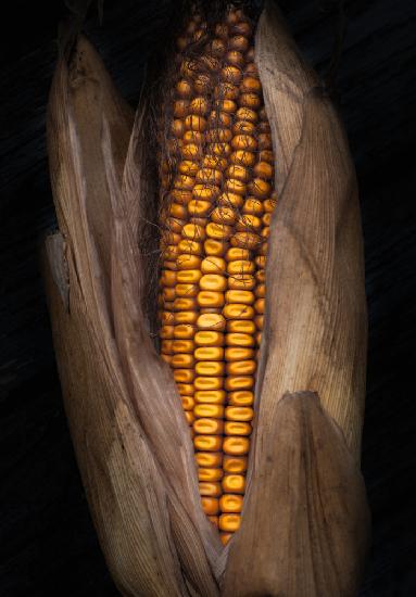 Corn