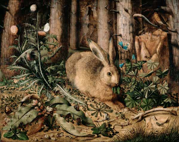A Hare in the Forest à Hans Hoffmann