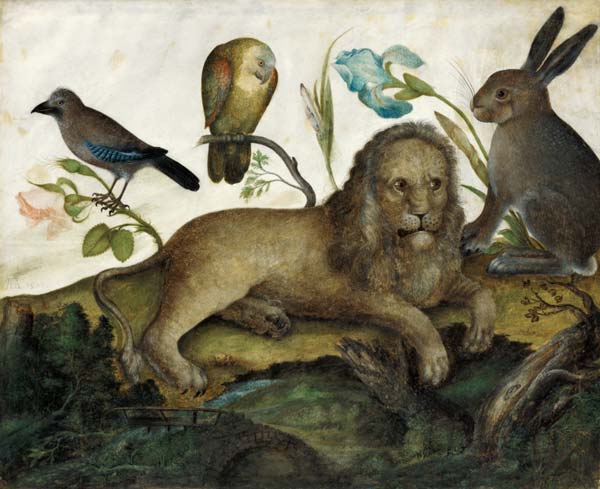 Image animale (lion) à Hans Hoffmann