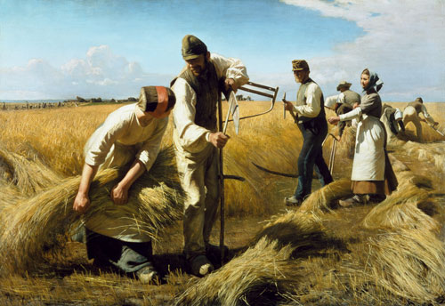 La récolte de grain à Hans Ole Brasen