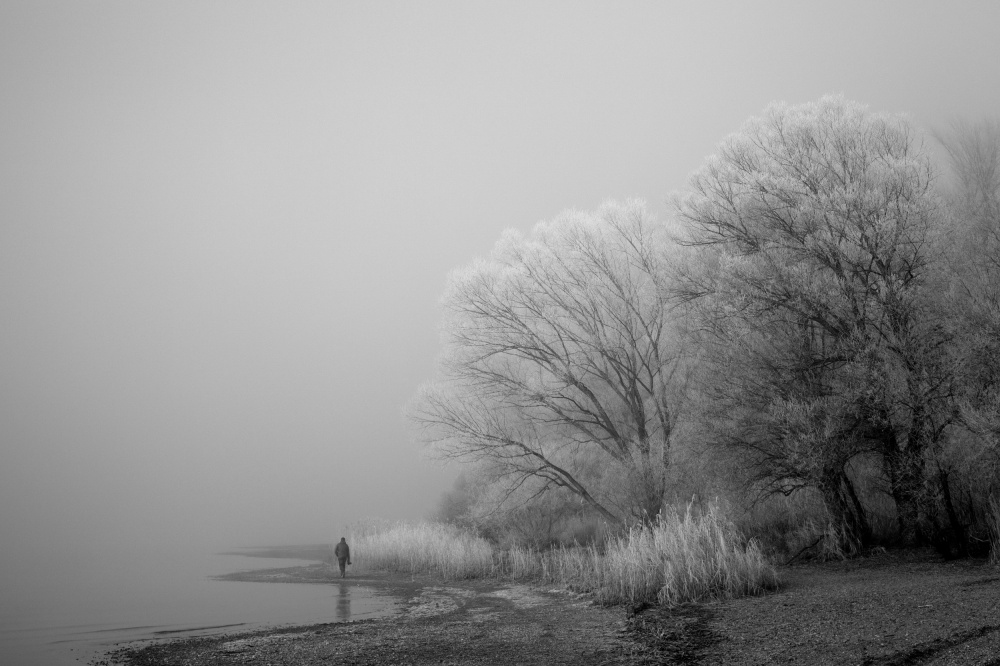 A foggy day at the lake à Hans Peter Rank