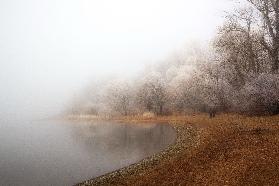 Fog and rime on the lake