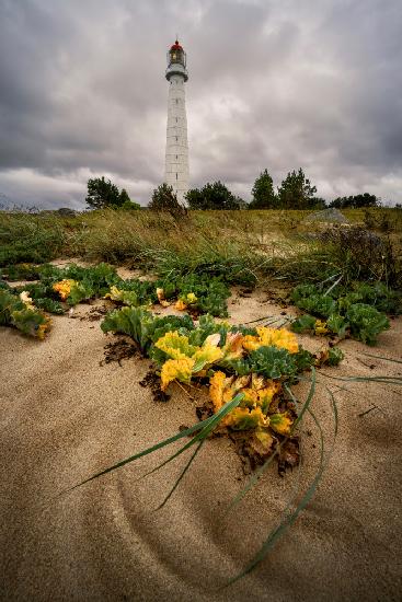 Botanical Lighthouse