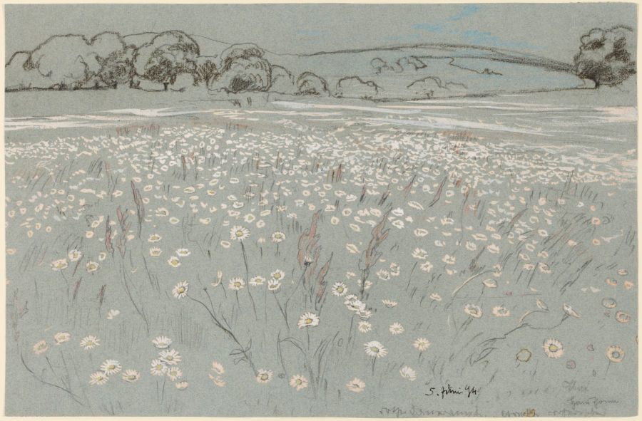 Meadow with Daisys à Hans Thoma