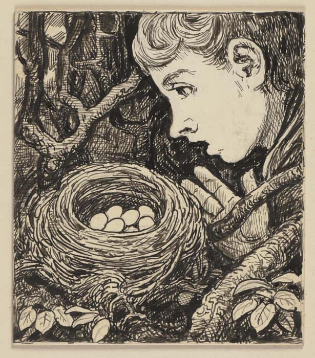 Zeichnung zur Fibel: Nest à Hans Thoma