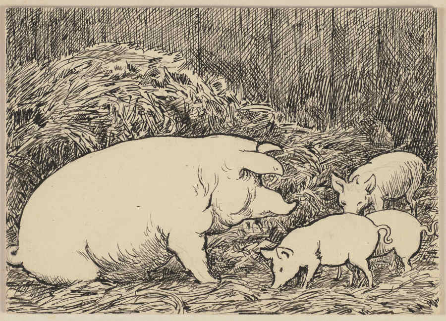 Zeichnung zur Fibel: Schwein à Hans Thoma