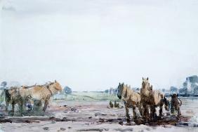 Plough Horses