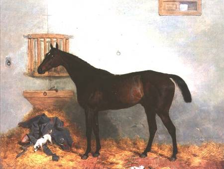 Thoroughbred in a Stable à Harry Hall