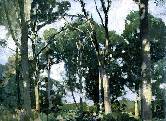 Trees in sunlight (panel) à Harry Watson
