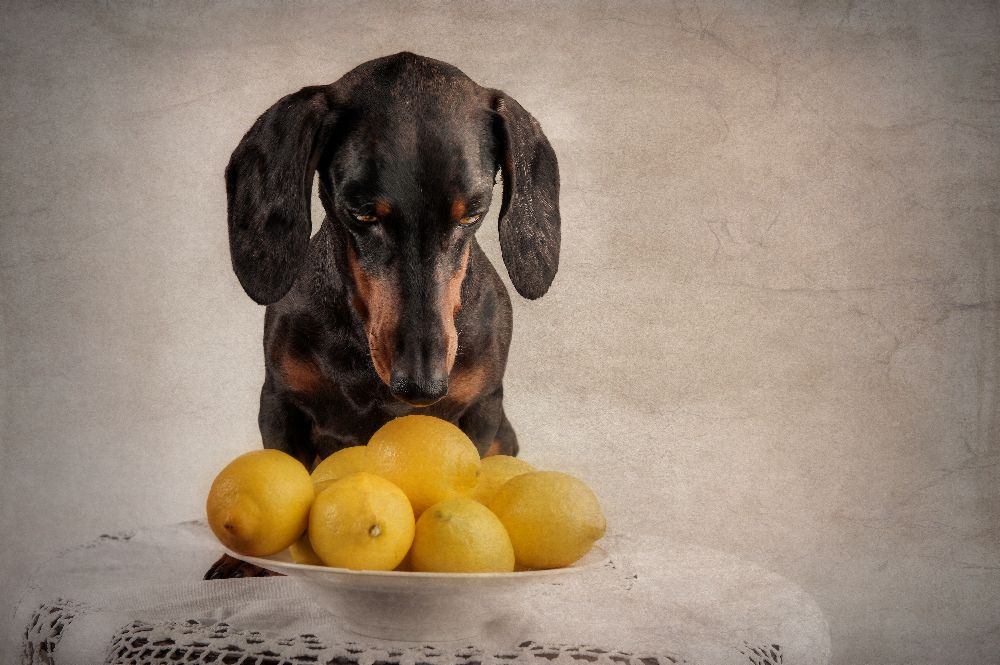 When Life Gives You Lemons... à Heike Willers