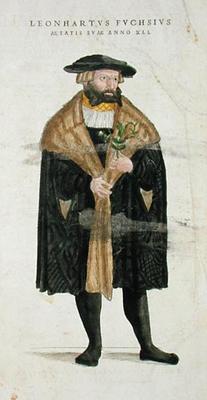 Portrait of of the author age 41, from 'De Historia Stirpium Commentarii Insignes', by Leonard Fuchs à Heinrich Fullmaurer