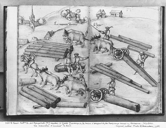 Siver mine of La Croix-aux-Mines, Lorraine, fol.3v and 4r, transporting wood, c.1530 à Heinrich Gross ou Groff