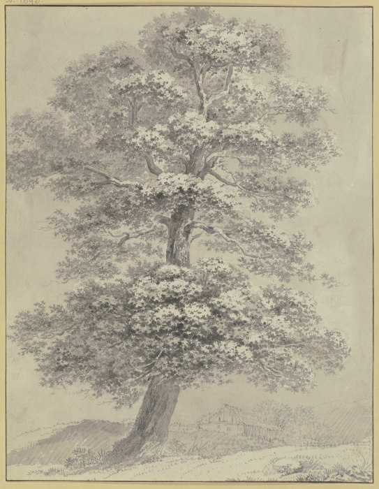 Oak trees à Heinrich Rieter