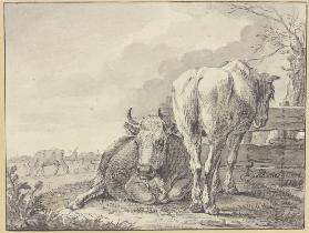 Eine Kuh und ein Pferd an einem Bretterzaun