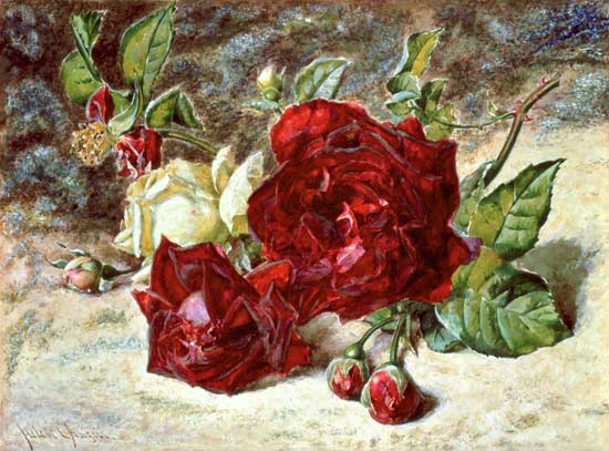 One White and Two Red Roses and Buds à Helen Cordelia Coleman Angell