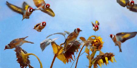 A Charm of Goldfinches