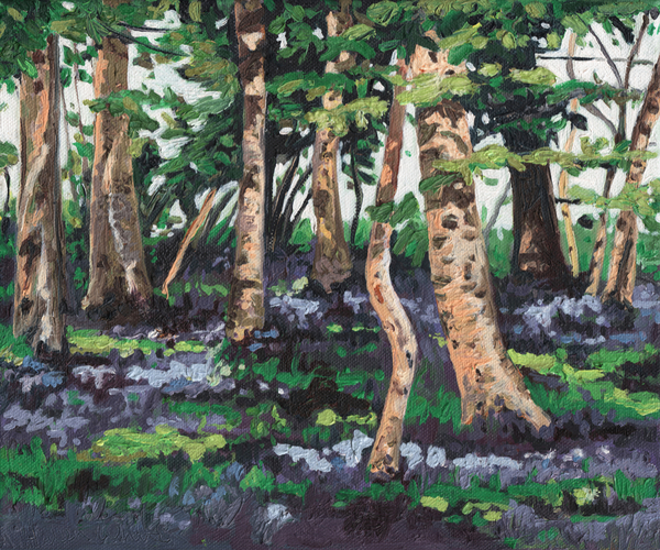 Bluebell Wood à Helen White