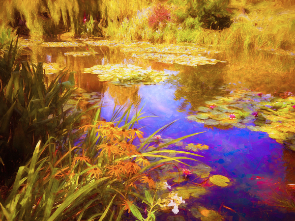 Giverny Waterlilies à Helen White