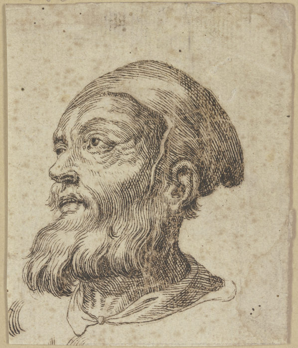 Kopf eines alten Mannes im Dreiviertelprofil nach links à Hendrick Goltzius