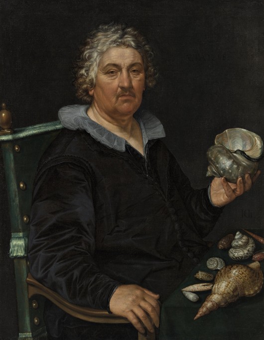 Portrait of the Haarlem Shell Collector Jan Govertsen van der Aer à Hendrick Goltzius