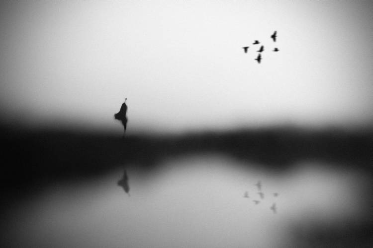 Conscience à Hengki Lee