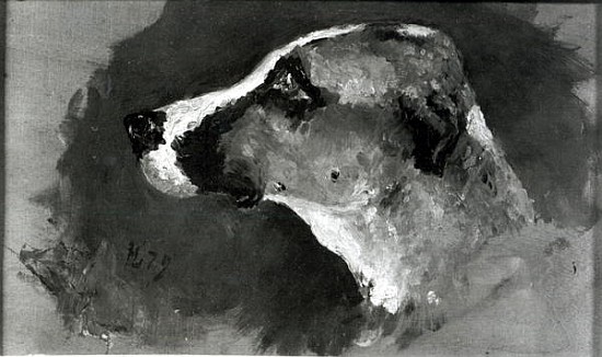 Head of a Dog with Short Ears à Henri de Toulouse-Lautrec