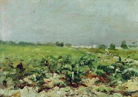 Celeyran, View of the Vineyard, 1880 (oil on canvas)
