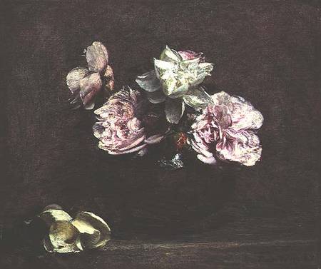 Roses of Nice à Henri Fantin-Latour