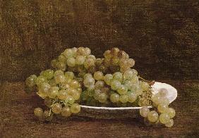 Still Life of Grapes