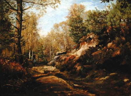 Pines and Birch Trees or, The Forest of Fontainebleau à Henri Joseph Constant Dutilleux