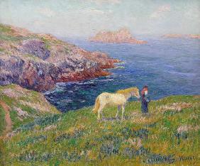 paysanne avec le cheval à la côte d'Ouessant.