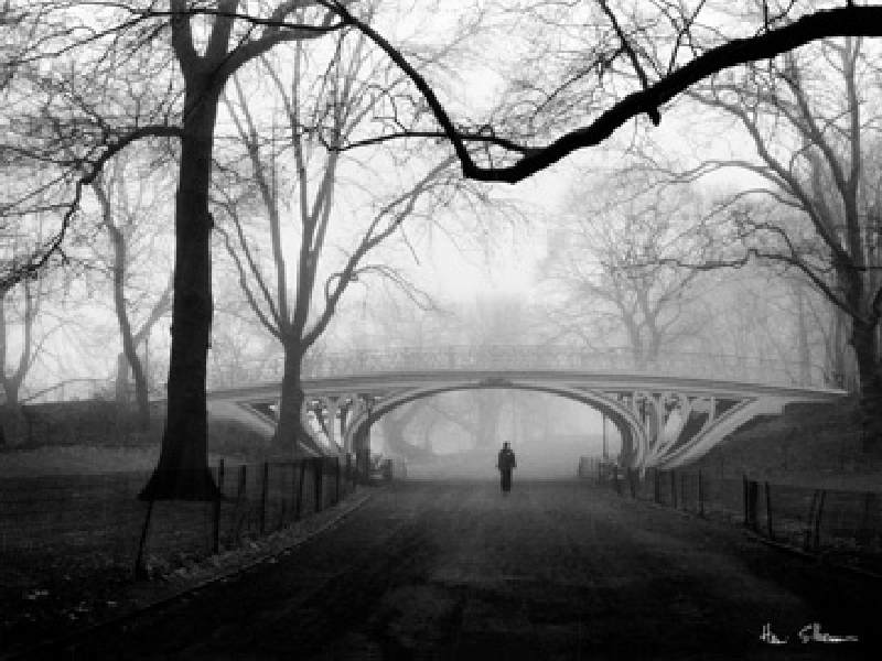 Gothic Bridge, Central Park NYC à Henri Silberman