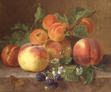 Still Life of Peaches à Henrietta Ronner-Knip