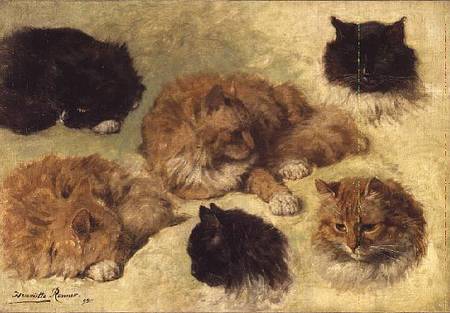 Studies of Cats à Henrietta Ronner-Knip