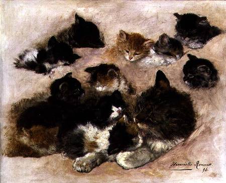 Study of cats and kittens à Henrietta Ronner-Knip