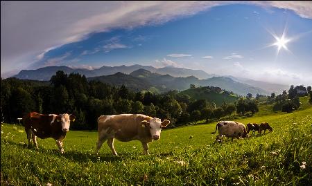 Clich&eacute; Alpine Paradise