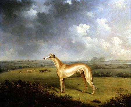 Reverend Henry Bate Dudley's Greyhound 'The Miller' à Henry Bernard Chalon