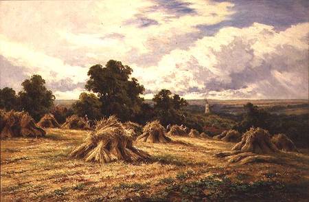 Harvested Field à Henry Parker