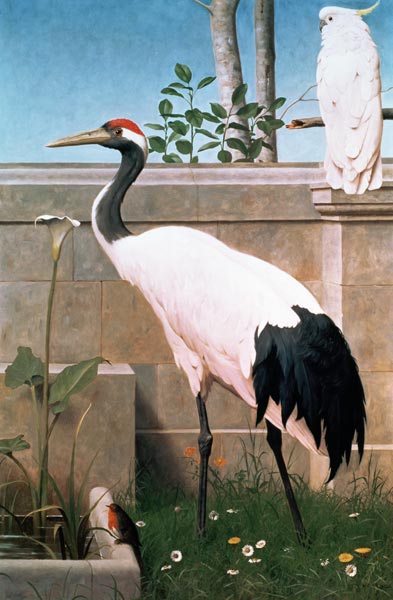 Manchurian Crane, Cockatoo and Robin à Henry Stacey Marks