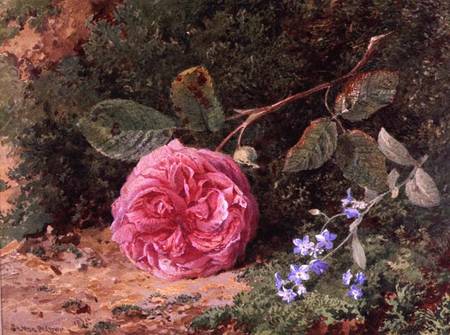 Pink Rose on a Mossy Bank à Henry Sutton Palmer