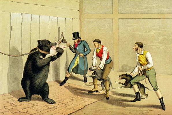 'Bear Baiting', pub. by Thomas McLean, 1820, (sporting print) à Henry Thomas Alken