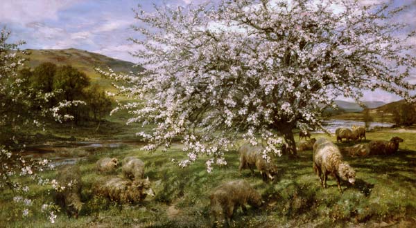 jardin fruitier avec des moutons au printemps (au Pays de Galles) à Henry William Banks Davis